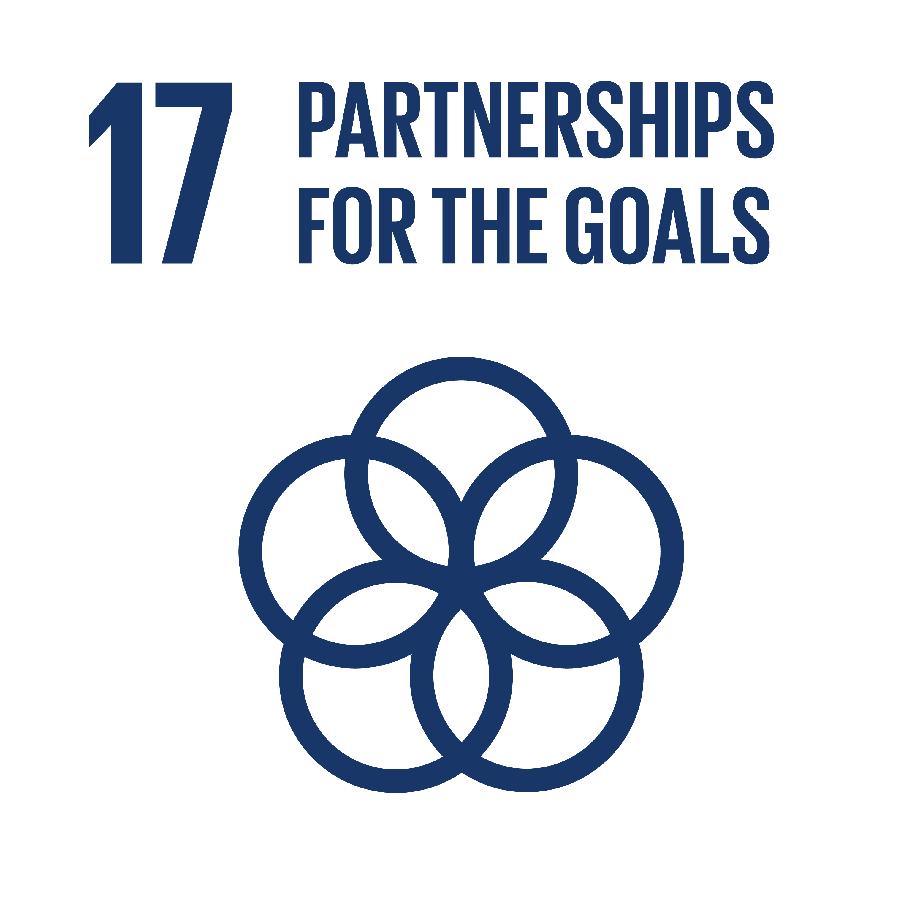 SDG 17 logo